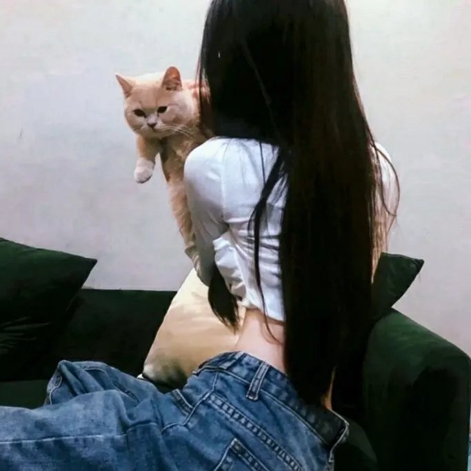 在主的年份