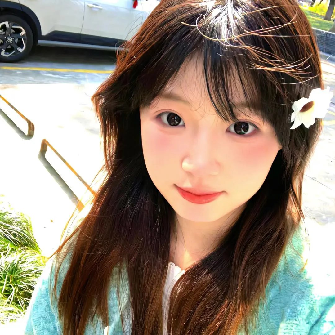 帝企鹅日记